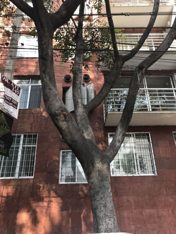 Departamento Venta San Rafael Cuauhtémoc CDMX