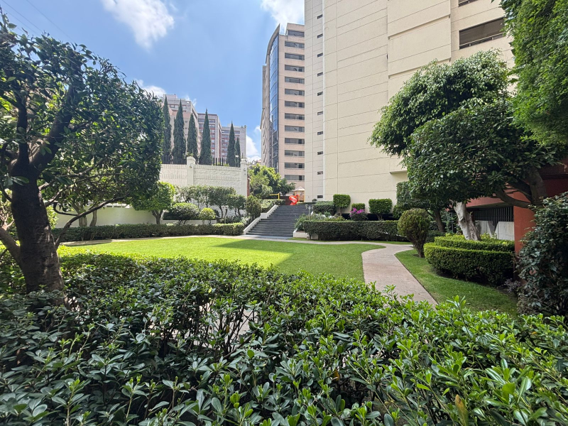 Departamento en Renta en Bosques de las Lomas