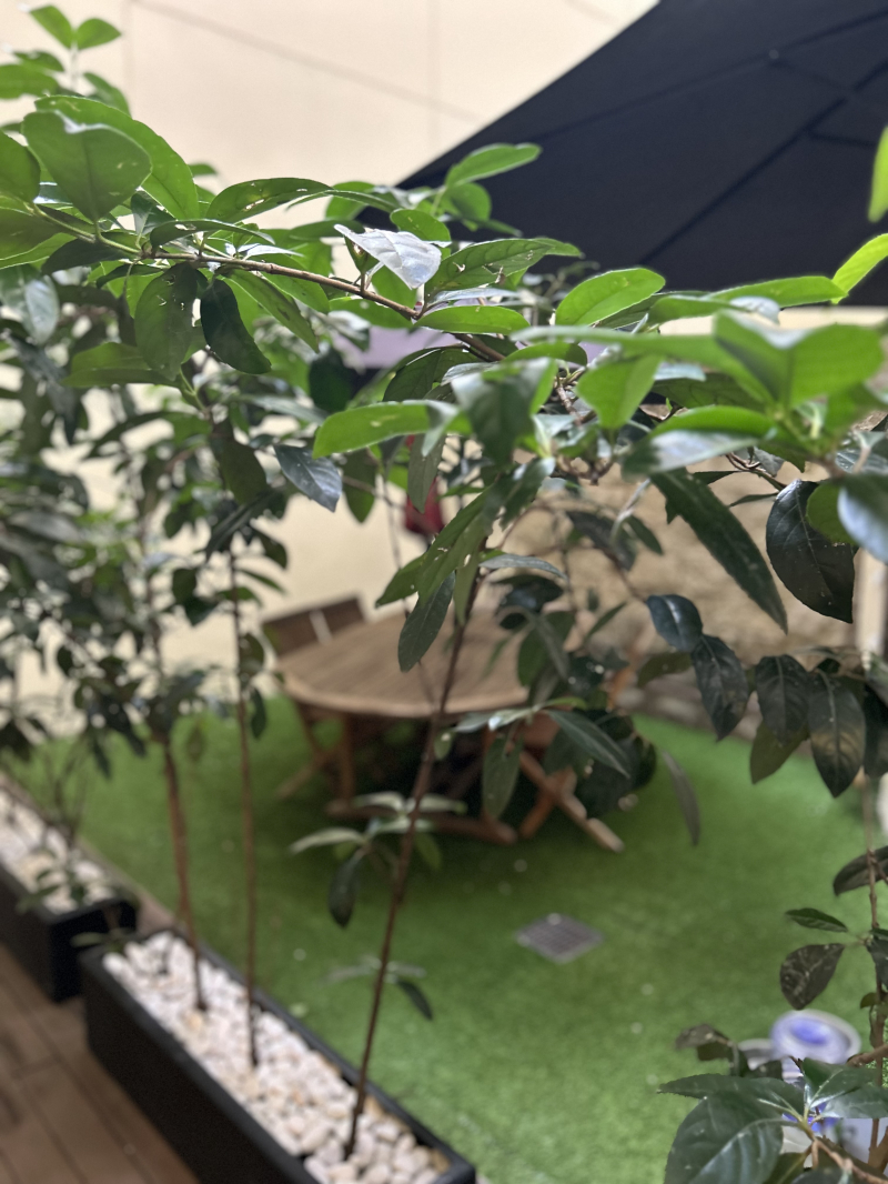 Venta Departamento Garden En La Enramada. 