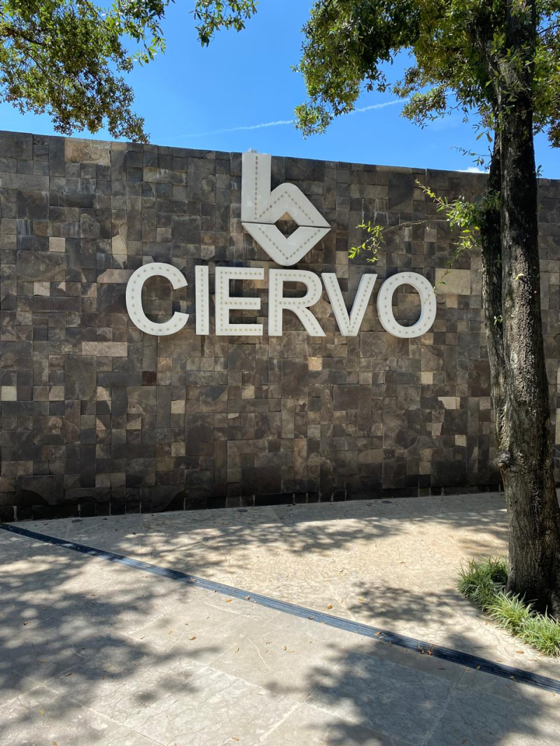Terreno 4,500 M2, Un Bosque Para Ti! 