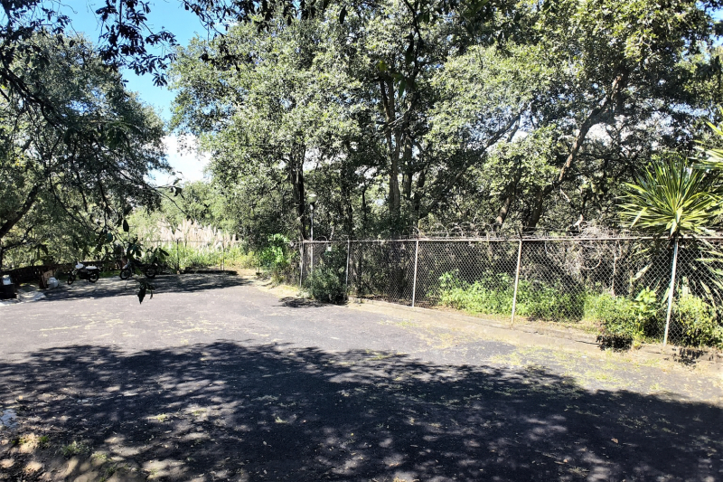 Terreno 4,500 M2, Un Bosque Para Ti! 