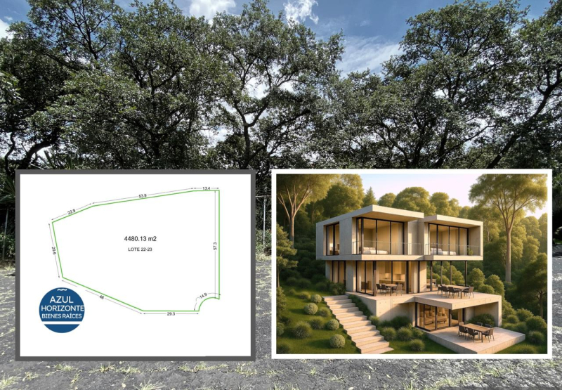 Terreno 4,500 m2, un bosque para ti! 