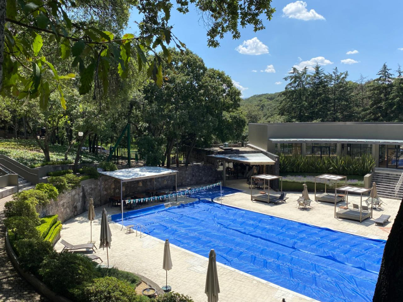 Terreno 4,500 M2, Un Bosque Para Ti! 