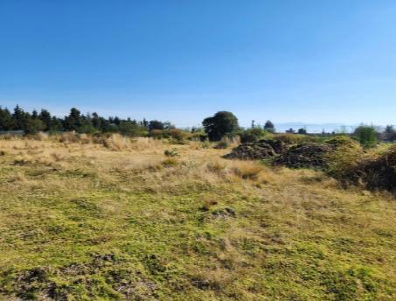 Terreno En Venta En San Miguel Totocuitlapilco 