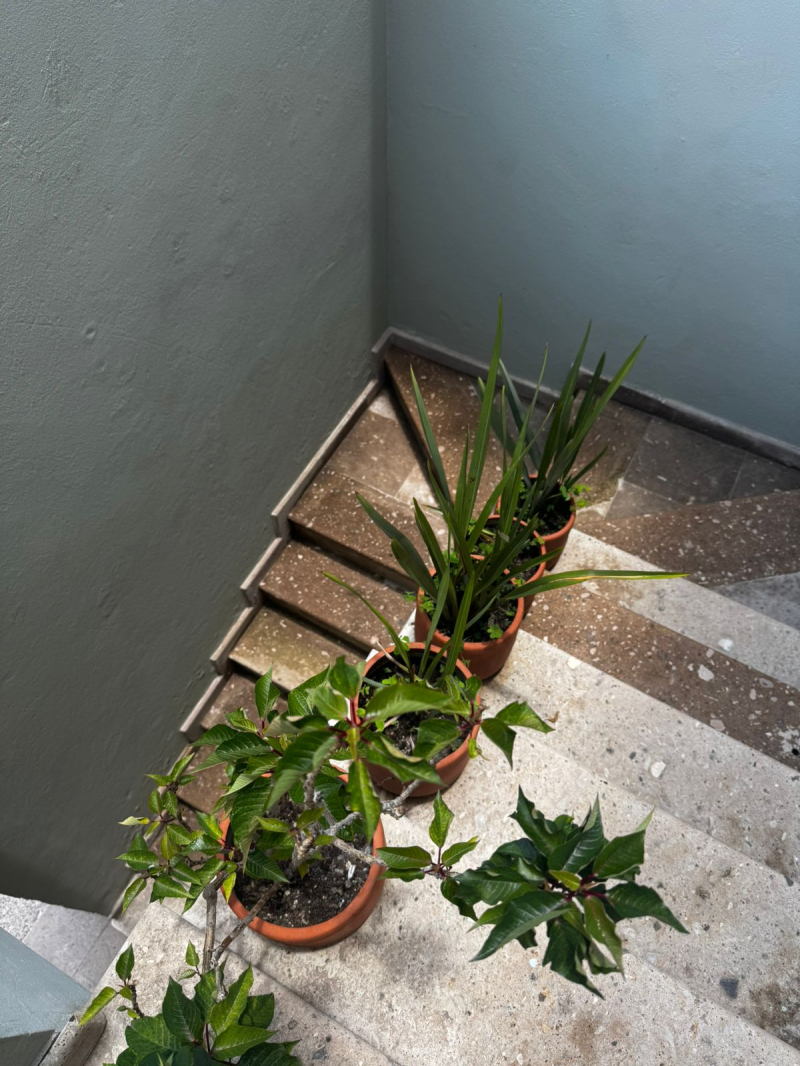 Casa en condominio en renta amueblado en San Miguel de Allende