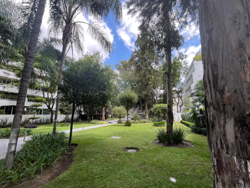 Departamento En Renta En Lomas Altas