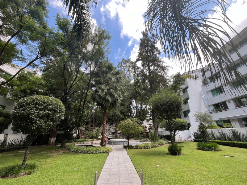 Departamento En Renta En Lomas Altas