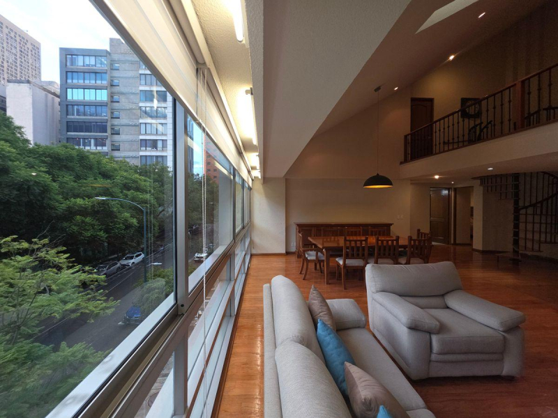 DEPARTAMENTO EN RENTA POLANCO, ANATOLE FRANCE 