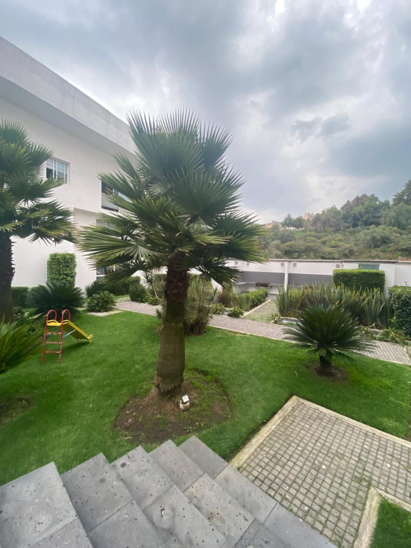 se renta departamento en lomas lindas 2da seccion atizapan de zaragoza