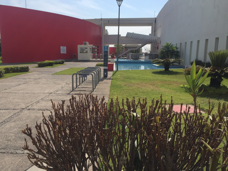 Casa En Renta En La Rioja Frente A Punto Sur �?? Con Club Privado Y 3 Recámaras Con Baño