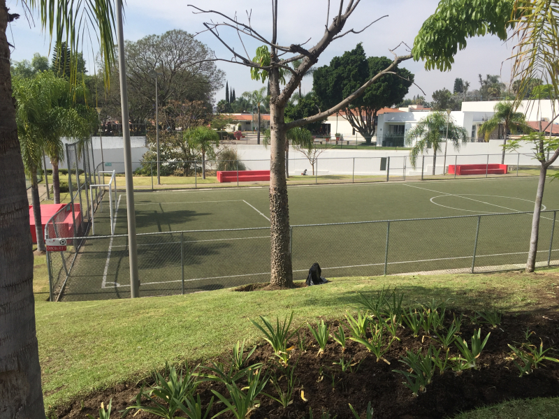 Casa En Renta En La Rioja Frente A Punto Sur �?? Con Club Privado Y 3 Recámaras Con Baño