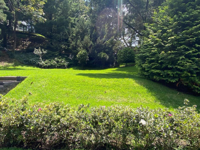 TERRENO VENTA JESUS DEL MONTE