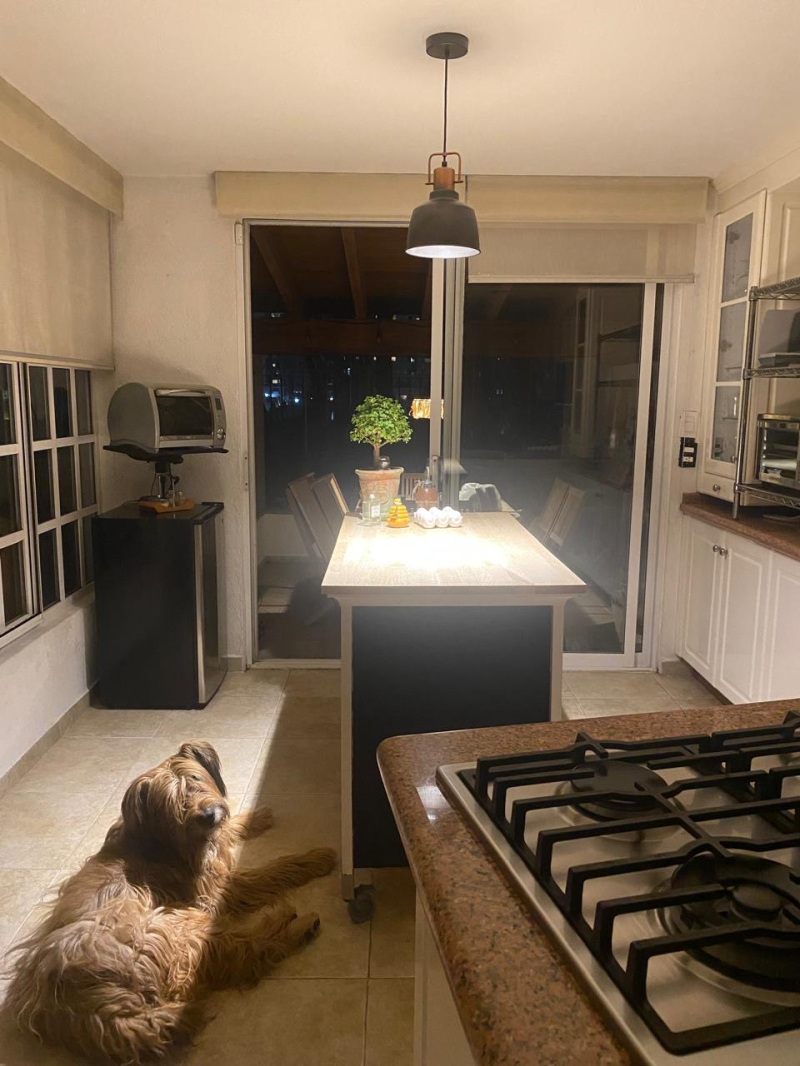 Casa En Condominio En Renta En Hacienda De Las Palmas