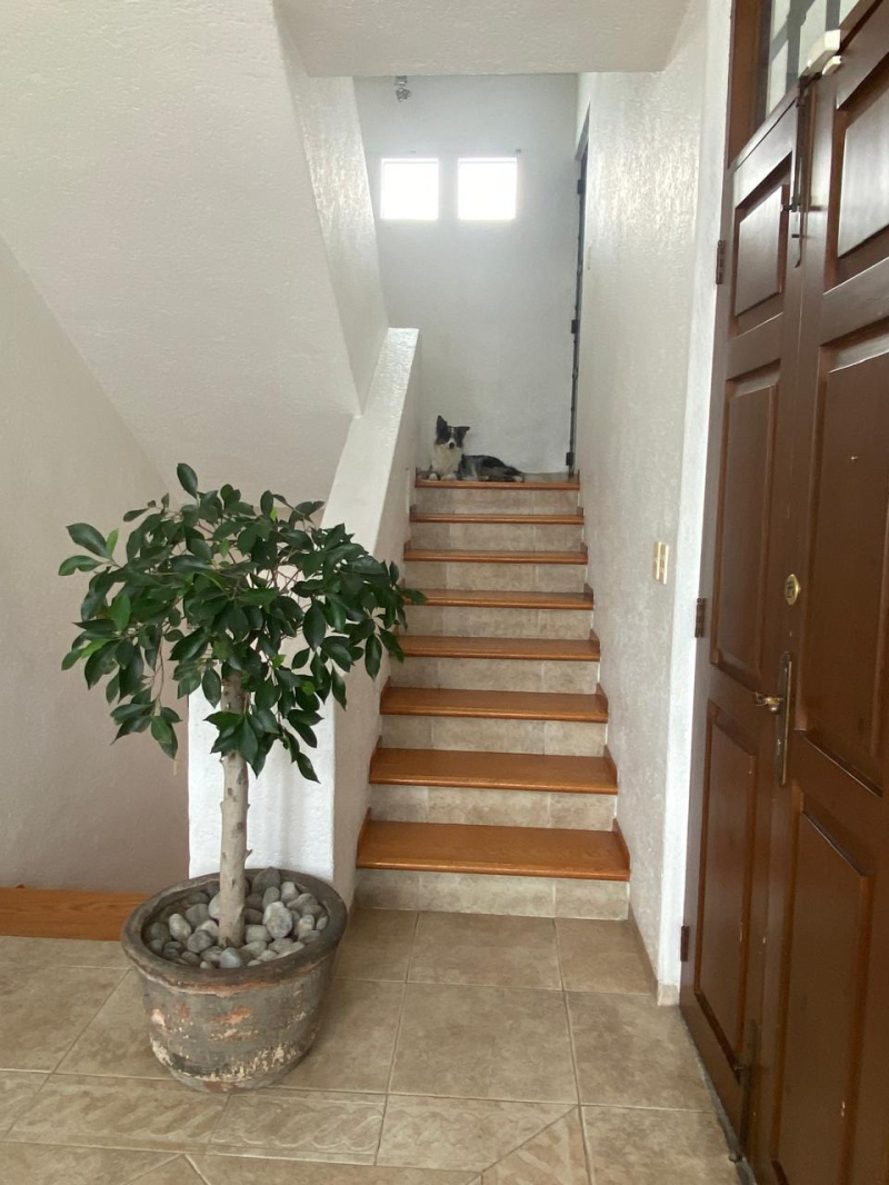 Casa En Condominio En Renta En Hacienda De Las Palmas