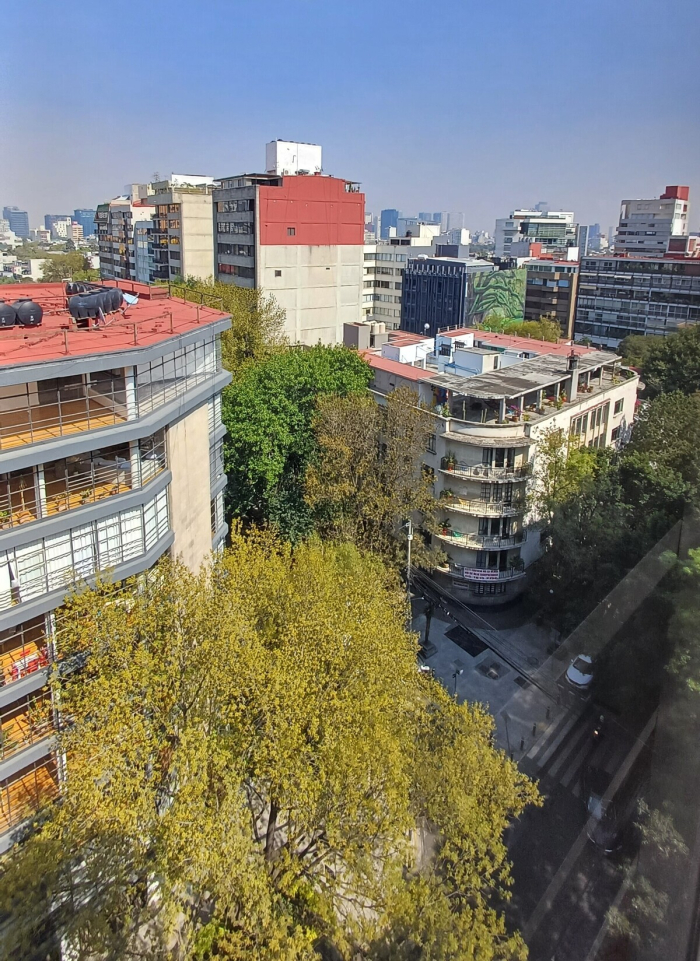 Polanco, Dickens. Departamento PH, 3 Recámaras Venta $15,650,000MN