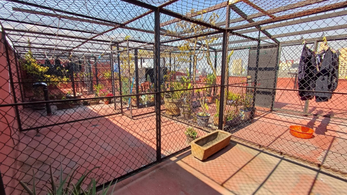 Polanco, Dickens. Departamento PH, 3 Recámaras Venta $15,650,000MN