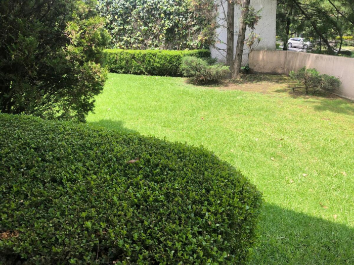 CASA VENTA BOSQUE DE OCOTES