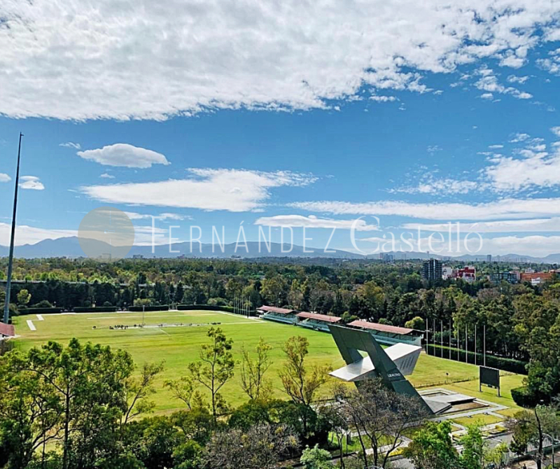 VENTA DE DEPARTAMENTO EN POLANCO