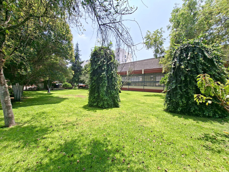 terreno en venta en xocoyahualco