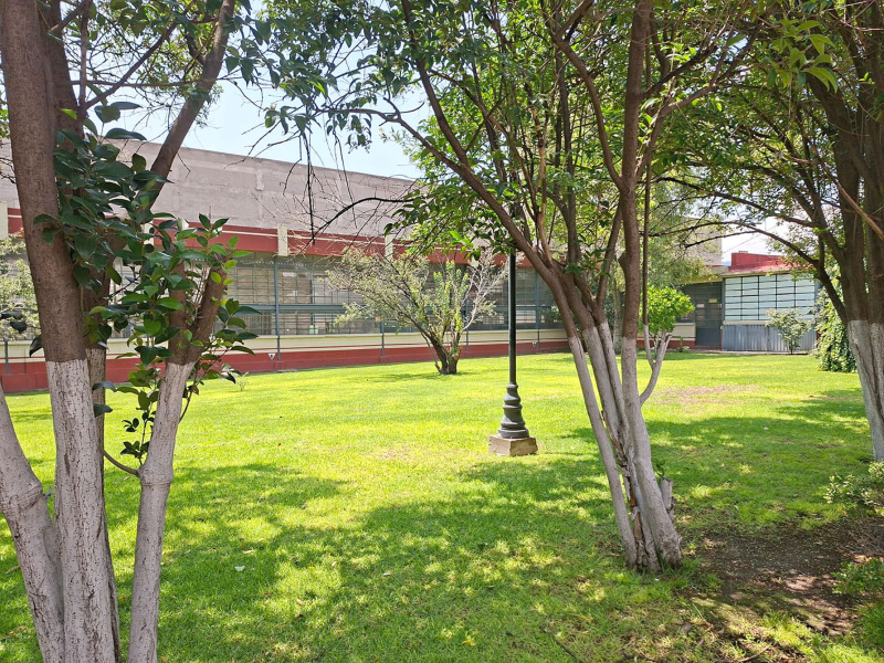 terreno en venta en xocoyahualco