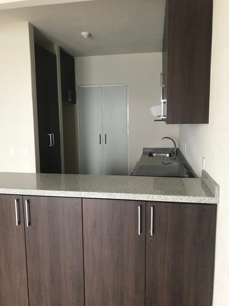 Casa En Condominio En Renta En Bosque Real