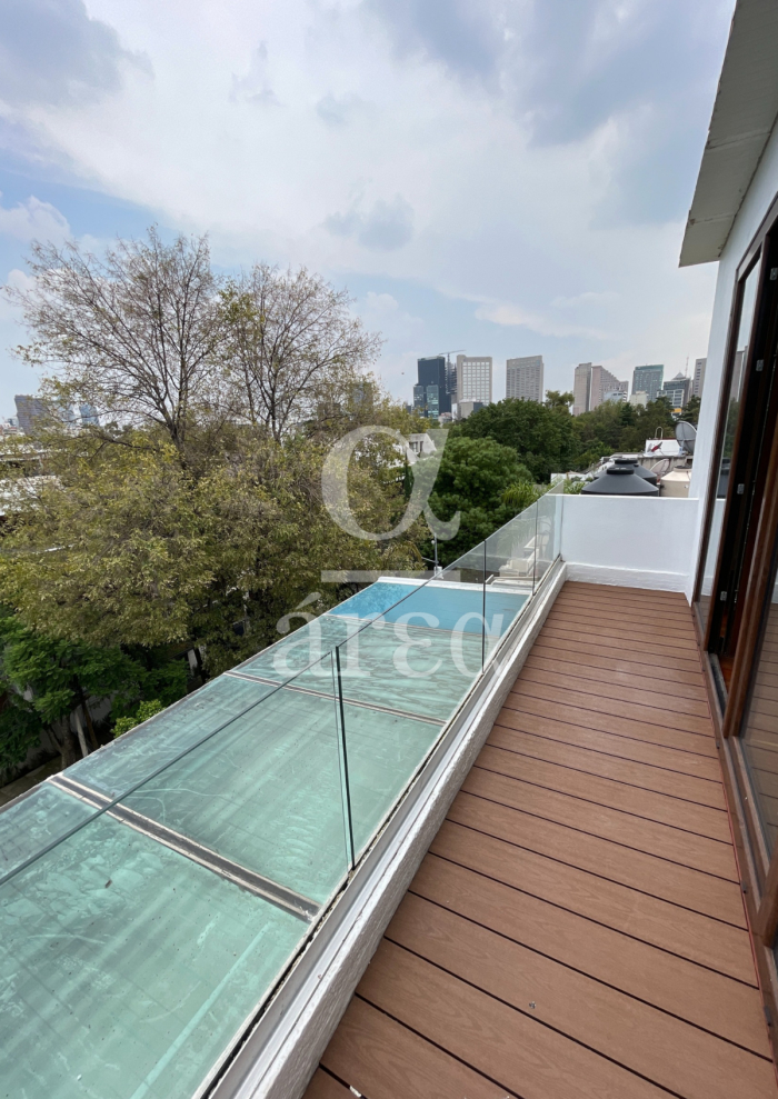 departamento con super terraza en renta en polanco
