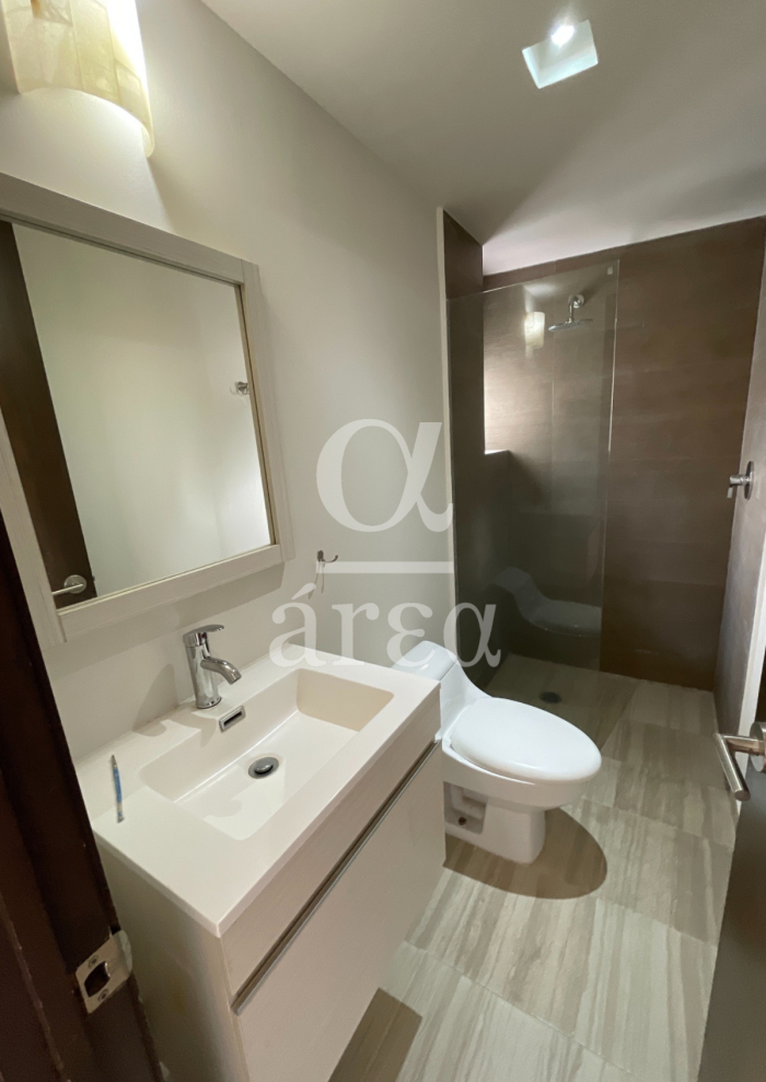 departamento con super terraza en renta en polanco