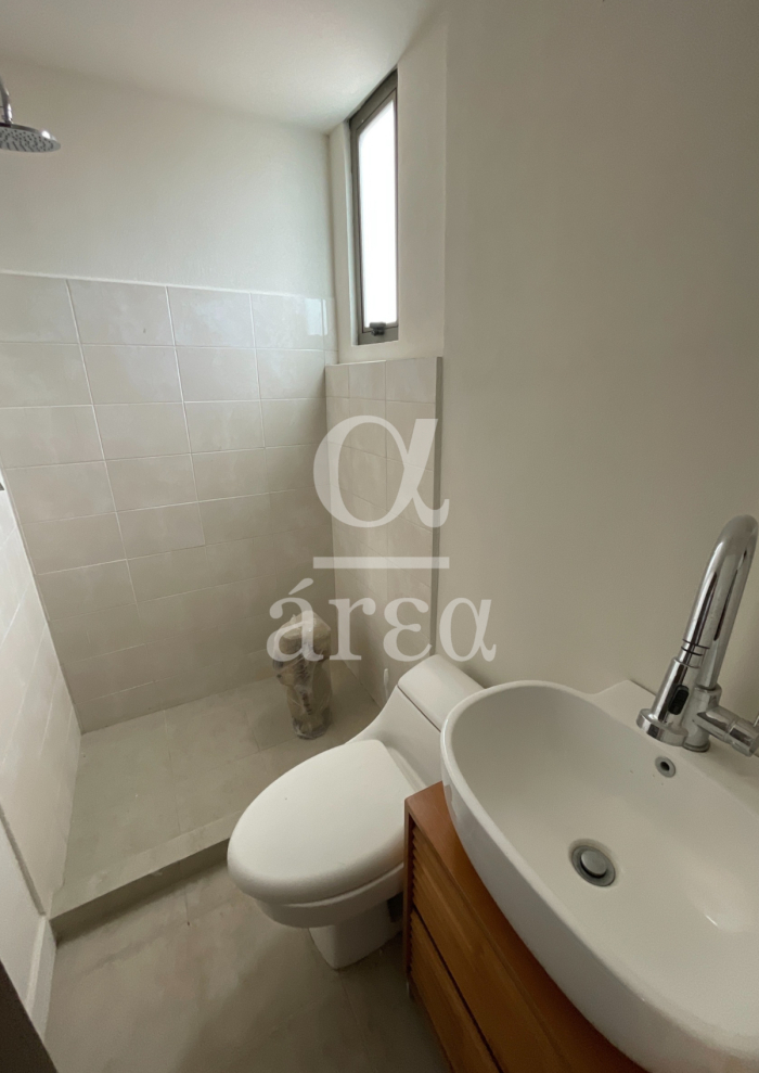 departamento con super terraza en renta en polanco