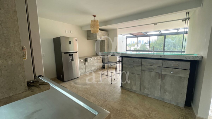 departamento con super terraza en renta en polanco