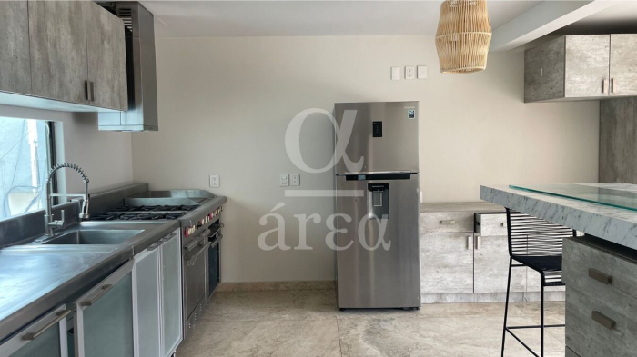 departamento con super terraza en renta en polanco