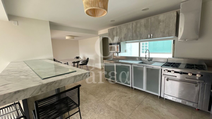departamento con super terraza en renta en polanco