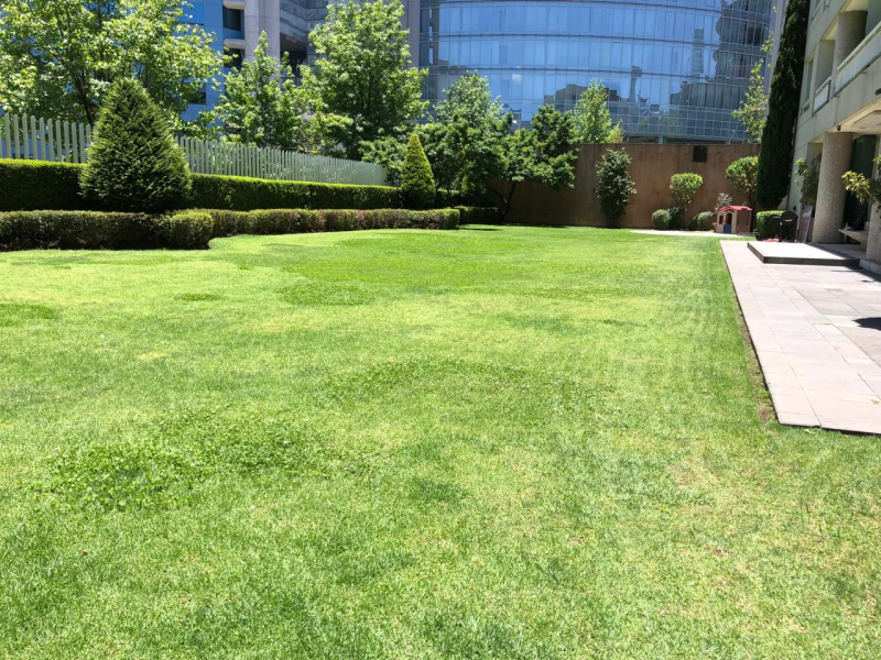 Departamento en venta - Guillermo González Camarena, Santa Fe