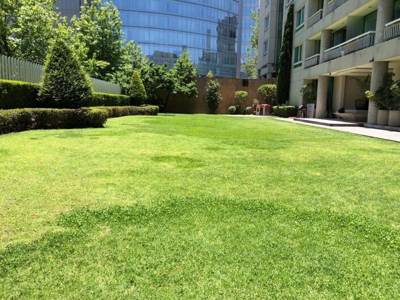 Departamento en venta - Guillermo González Camarena, Santa Fe