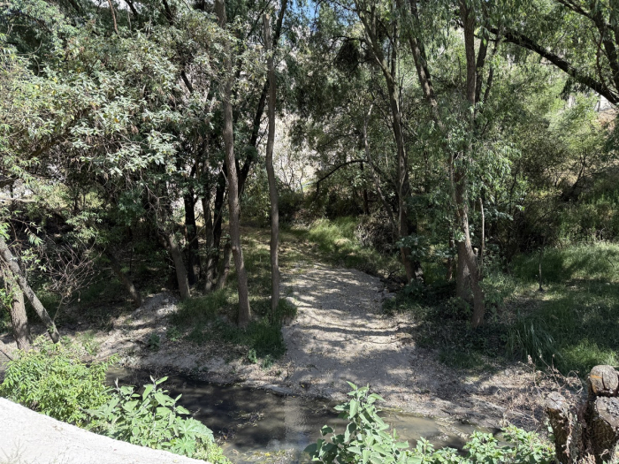 Aproveche terreno oportunidad irrepetible en Bosque Real.