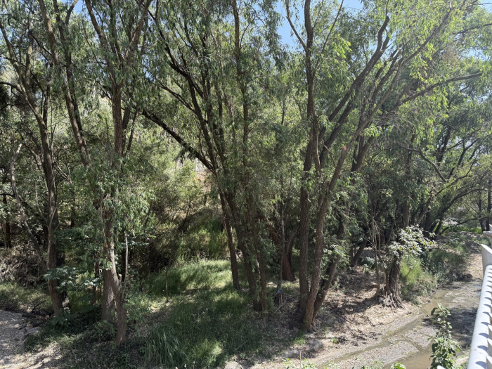 Aproveche terreno oportunidad irrepetible en Bosque Real.