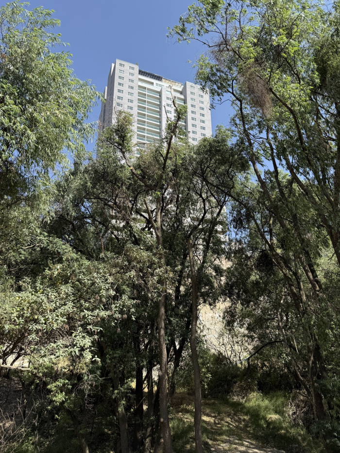 Aproveche terreno oportunidad irrepetible en Bosque Real.