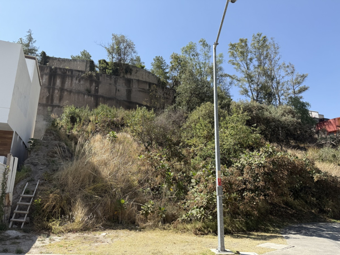 Aproveche terreno oportunidad irrepetible en Bosque Real.