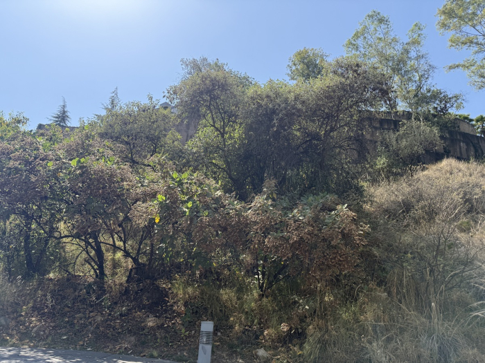 Aproveche terreno oportunidad irrepetible en Bosque Real.