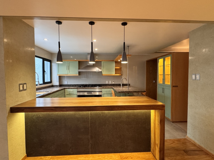 Bonito departamento remodelado en Masaryk