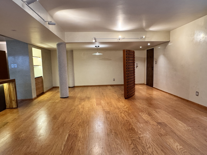 Bonito departamento remodelado en Masaryk