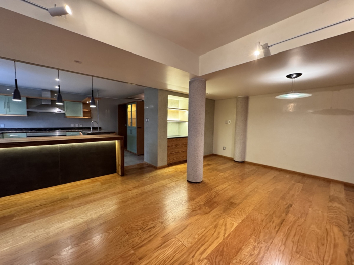 Bonito departamento remodelado en Masaryk