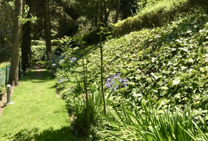 Excelente departamento remodelado en Bosques