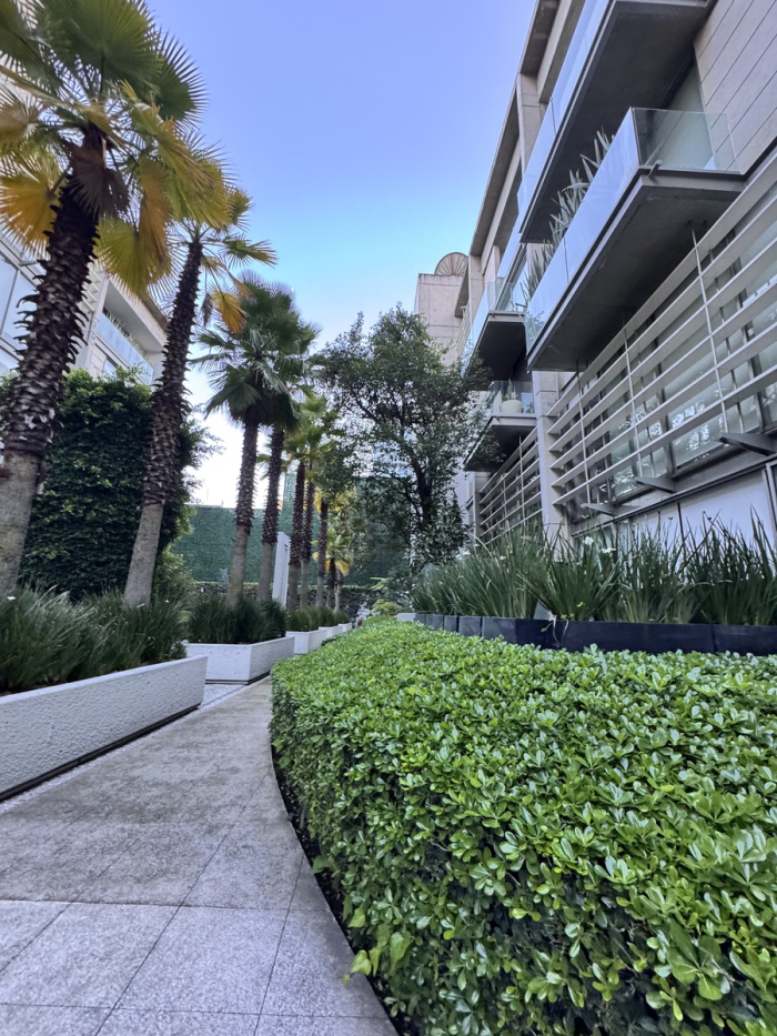 excelente departamento en renta en polanco
