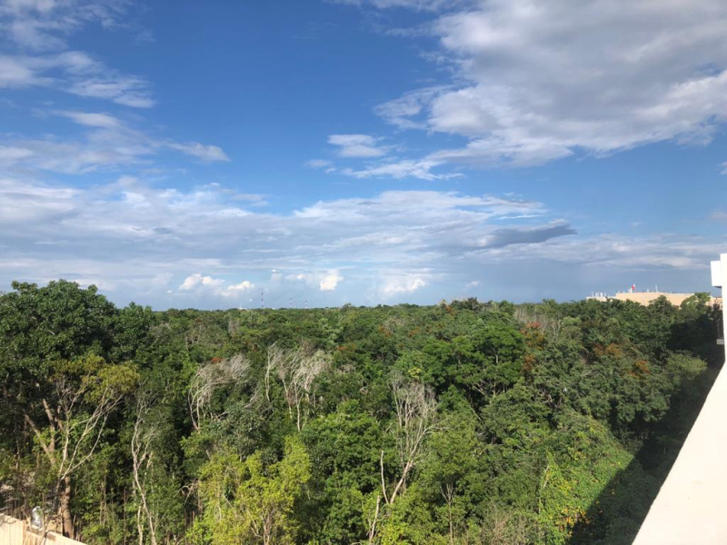 Departamento En Venta En Aldea Zama Tulum