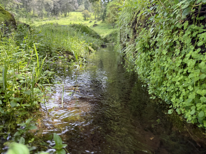 joya en san josé potrerillo