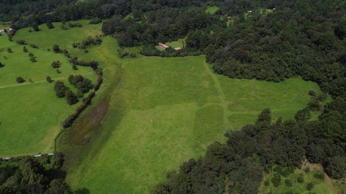 joya en san josé potrerillo