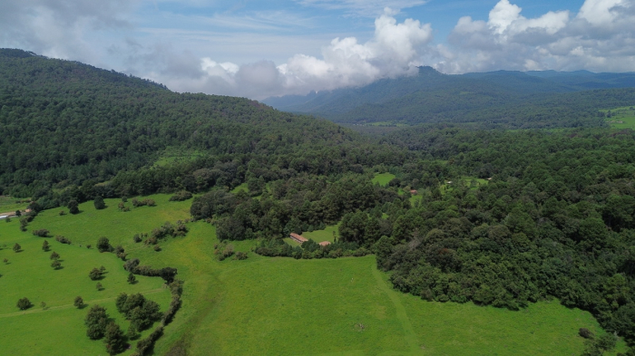 joya en san josé potrerillo