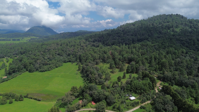 joya en san josé potrerillo