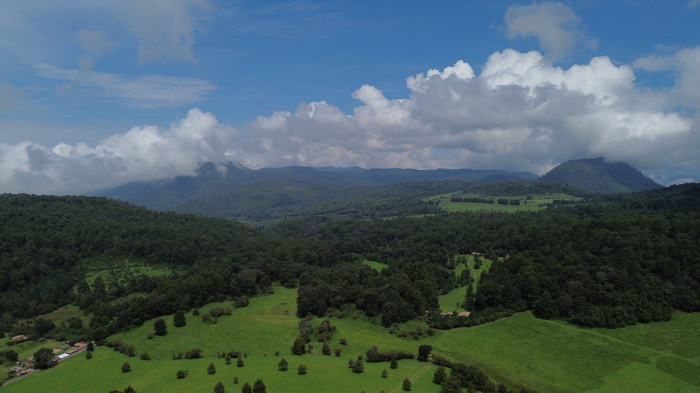 joya en san josé potrerillo