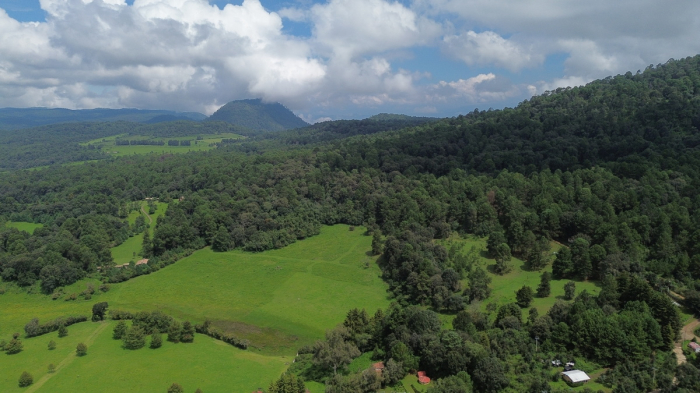 joya en san josé potrerillo